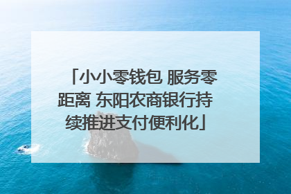 小小零钱包 服务零距离 东阳农商银行持续推进支付便利化