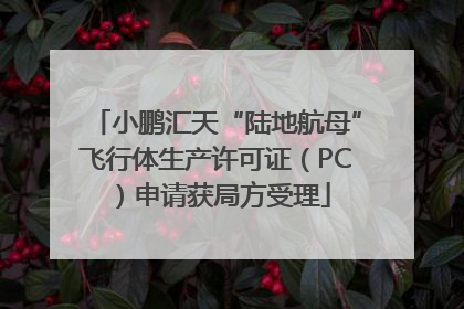 小鹏汇天“陆地航母”飞行体生产许可证（PC）申请获局方受理