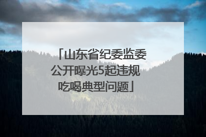 山东省纪委监委公开曝光5起违规吃喝典型问题