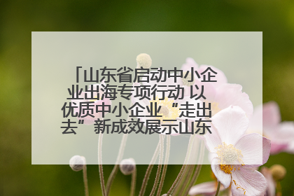 山东省启动中小企业出海专项行动 以优质中小企业“走出去”新成效展示山东产业发展新形象