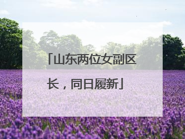 山东两位女副区长，同日履新