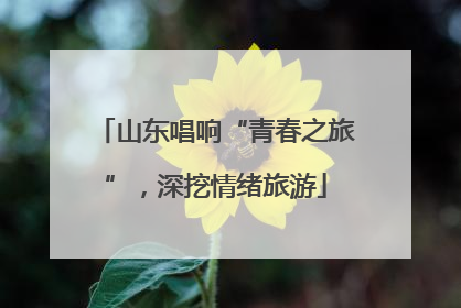 山东唱响“青春之旅”，深挖情绪旅游