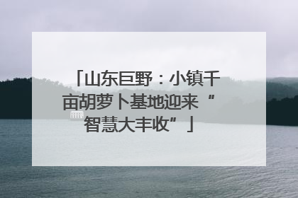 山东巨野：小镇千亩胡萝卜基地迎来“智慧大丰收”