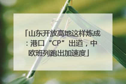 山东开放高地这样炼成：港口“CP”出道，中欧班列跑出加速度