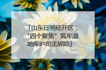 山东日照经开区：“四个聚焦”筑牢湿地保护司法屏障