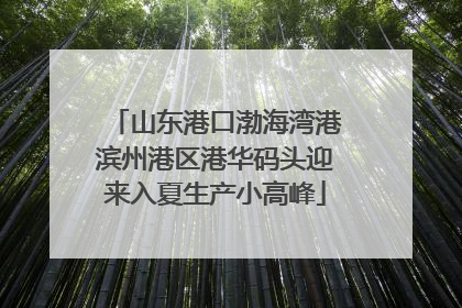 山东港口渤海湾港滨州港区港华码头迎来入夏生产小高峰