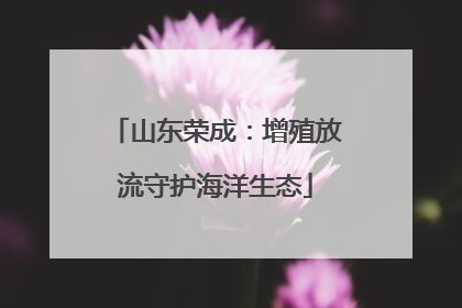 山东荣成：增殖放流守护海洋生态