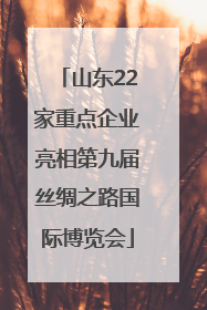 山东22家重点企业亮相第九届丝绸之路国际博览会