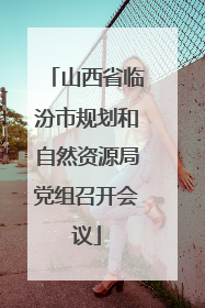 山西省临汾市规划和自然资源局党组召开会议