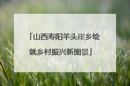 山西寿阳羊头崖乡绘就乡村振兴新图景