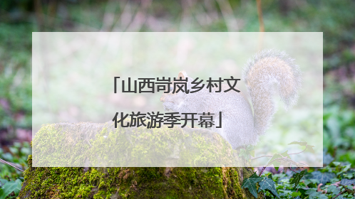 山西岢岚乡村文化旅游季开幕