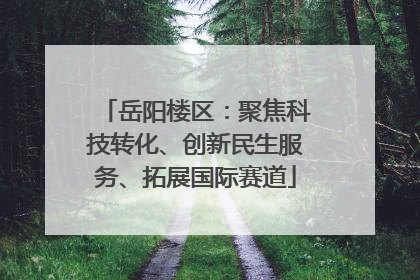 岳阳楼区：聚焦科技转化、创新民生服务、拓展国际赛道