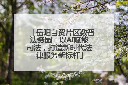 岳阳自贸片区数智法务园：以AI赋能司法，打造新时代法律服务新标杆