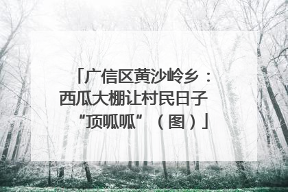 广信区黄沙岭乡：西瓜大棚让村民日子“顶呱呱”（图）