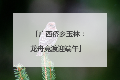 广西侨乡玉林：龙舟竞渡迎端午