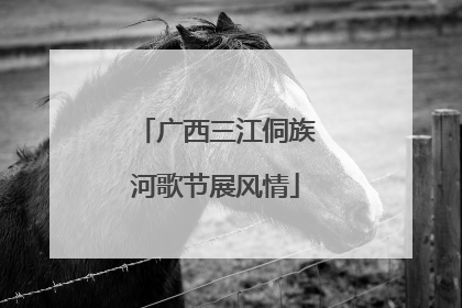 广西三江侗族河歌节展风情