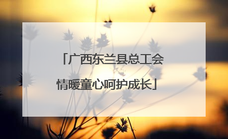 广西东兰县总工会情暖童心呵护成长