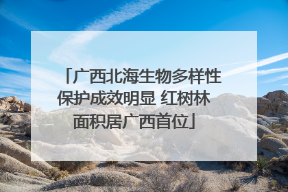 广西北海生物多样性保护成效明显 红树林面积居广西首位