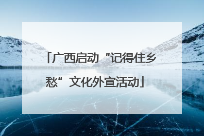 广西启动“记得住乡愁”文化外宣活动