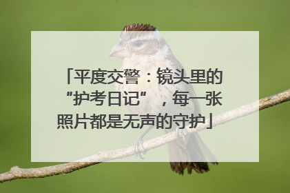 平度交警：镜头里的“护考日记”，每一张照片都是无声的守护