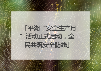 平湖“安全生产月”活动正式启动，全民共筑安全防线