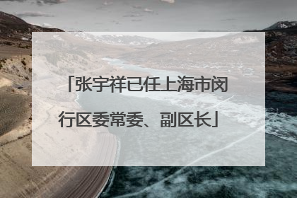 张宇祥已任上海市闵行区委常委、副区长