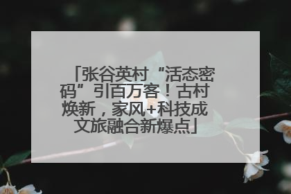 张谷英村“活态密码”引百万客！古村焕新，家风+科技成文旅融合新爆点