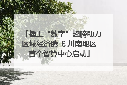 插上“数字”翅膀助力区域经济腾飞 川南地区首个智算中心启动