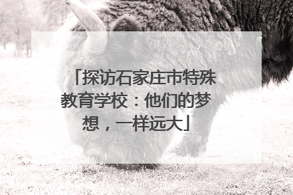 探访石家庄市特殊教育学校：他们的梦想，一样远大