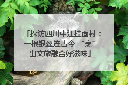 探访四川中江挂面村：一根银丝连古今 “烹”出文旅融合好滋味