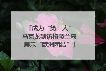 成为“第一人” 马克龙到访格陵兰岛展示“欧洲团结”