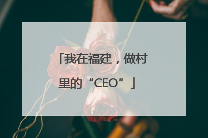 我在福建，做村里的“CEO”