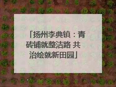 扬州李典镇：青砖铺就整洁路 共治绘就新田园