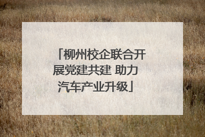 柳州校企联合开展党建共建 助力汽车产业升级