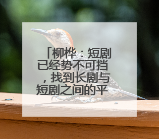 柳桦：短剧已经势不可挡，找到长剧与短剧之间的平衡