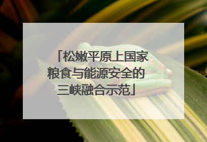 松嫩平原上国家粮食与能源安全的三峡融合示范