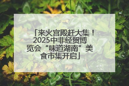 来火宫殿赶大集！2025中非经贸博览会“味道湖南”美食市集开启
