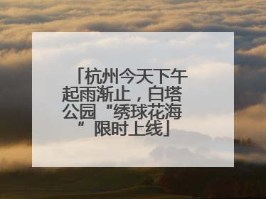 杭州今天下午起雨渐止，白塔公园“绣球花海”限时上线