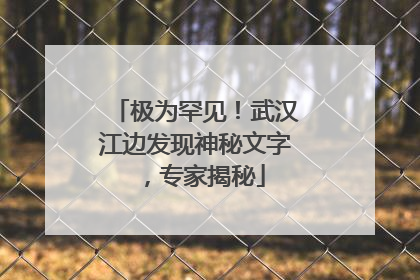 极为罕见！武汉江边发现神秘文字，专家揭秘