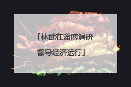 林武在淄博调研督导经济运行