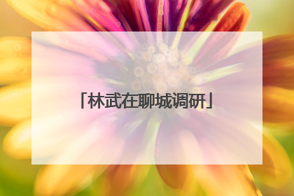 林武在聊城调研