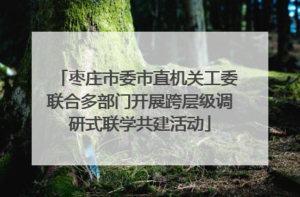 枣庄市委市直机关工委联合多部门开展跨层级调研式联学共建活动