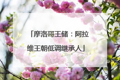 摩洛哥王储：阿拉维王朝低调继承人