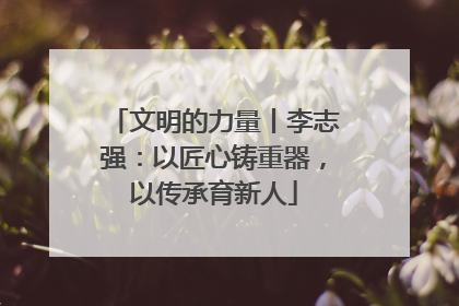 文明的力量丨李志强：以匠心铸重器，以传承育新人