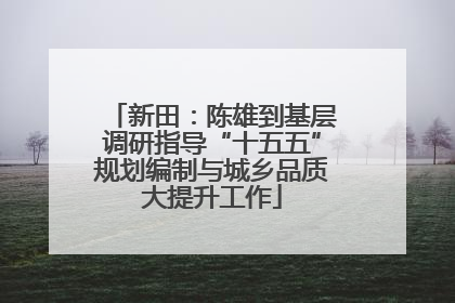 新田：陈雄到基层调研指导“十五五”规划编制与城乡品质大提升工作