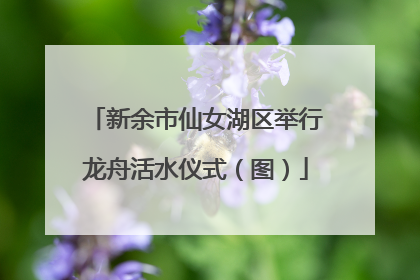 新余市仙女湖区举行龙舟活水仪式（图）