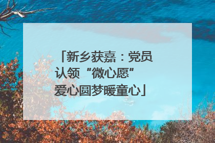 新乡获嘉：党员认领“微心愿” 爱心圆梦暖童心
