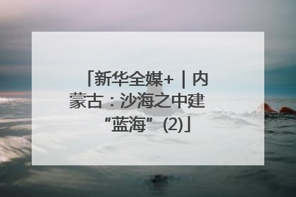 新华全媒+｜内蒙古：沙海之中建“蓝海”(2)