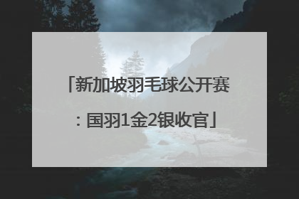 新加坡羽毛球公开赛：国羽1金2银收官