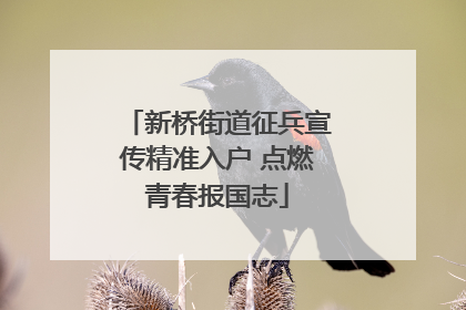 新桥街道征兵宣传精准入户 点燃青春报国志